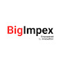Bigimpex logo
