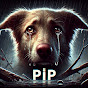 Paws in Pain logo