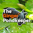 PztoH52BzUQ-channel-avatar-The Ginger Pondkeeper