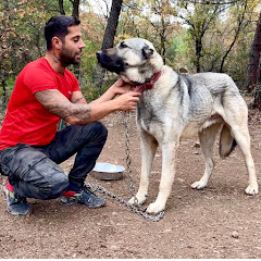 KANGAL FARM LIFE