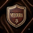 o6gNQdlXkKs-channel-avatar-VELOURA ECHO