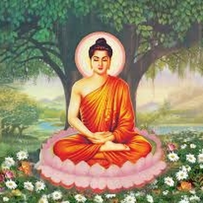 CUỘC SỐNG MAY MẮN