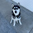 @Thehuskymax