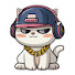 FcFHY31UN_s-channel-avatar-비트췍 BeatCheck