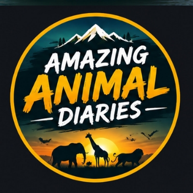 Amazing Animal Diaries 