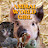 @animalworldgirl