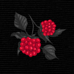 жизнь-малина