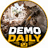 JSBcD4ZXEFI-channel-avatar-Demo Daily