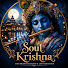 EzlPzRrZziE-channel-avatar-Soul Krishna