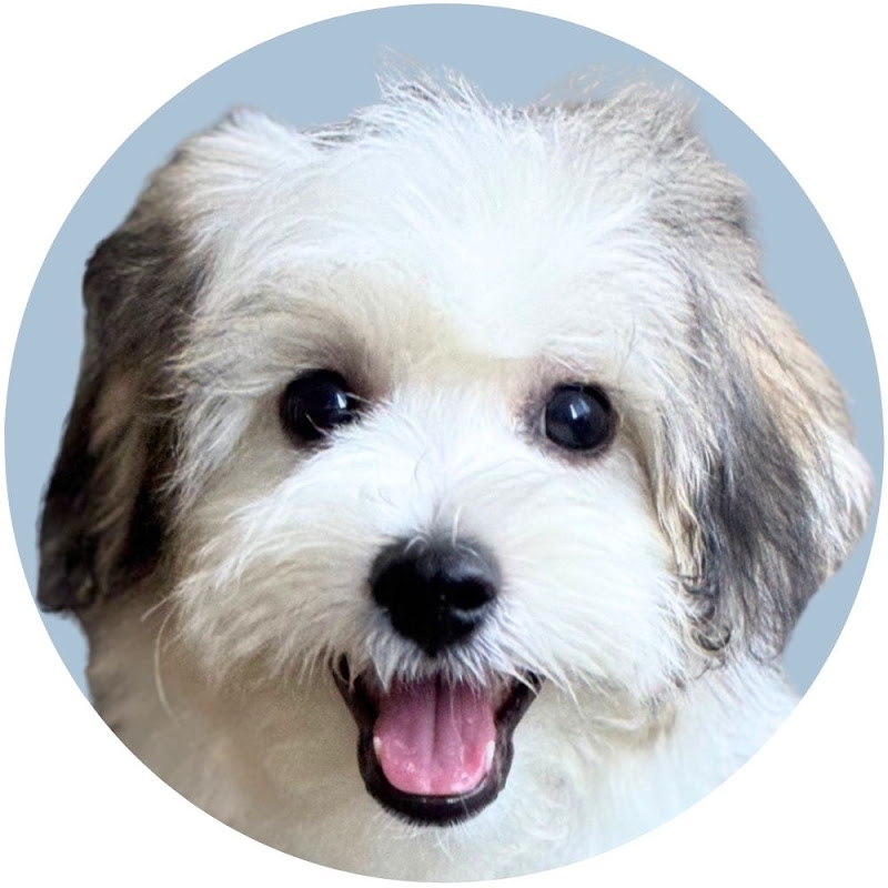 にこにこ犬むう。