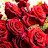 @Meesha-n4g
