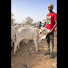 vVNKosqy_hU-channel-avatar-HarunaTheCowboy 