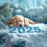 w0xik-17mOQ-channel-avatar-Relaxing Music for Dogs