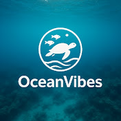 OceanVibes