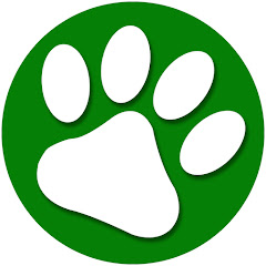 La Biblia de los animales avatar
