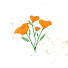 ZsOv43xHpzM-channel-avatar-Poppies Quartet