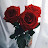 @EntsarAlzwai-k6b