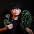 a3IYNF3KfxQ-channel-avatar-Kitaro Japan Plant