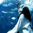 3jgysdj9LYg-channel-avatar-5:00am