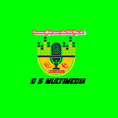 D S Multimedia channel logo