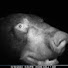 6f_553yjLbw-channel-avatar-This Northern Life