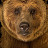 @bearseatbeets3940