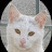 @purfecto's avatar
