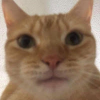 Neon profile image