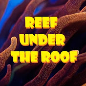 Reef Under The Roof