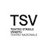 zSm6Oht-Jbo-channel-avatar-Teatro Stabile del Veneto - Teatro Nazionale