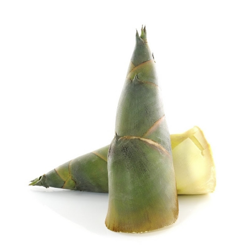 Bamboo shoots 
