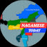 QF_QTUMHPPI-channel-avatar-NAGAMESE TODAY (NEWS)