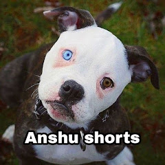 Anshu shorts avatar