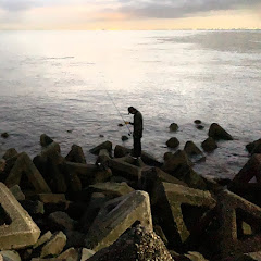 釣り上げ.com公式チャンネル【新潟海釣り】アイコン画像