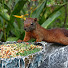 c3wE0f_yEGU-channel-avatar-PawView TV