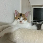 たらちゃん日記