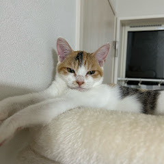 たらちゃん日記