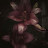 @MirnaLjassem-h6m4w