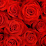 Cjz6IM-OemU-channel-avatar-554 Originals