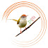 WfInNwqp0mA-channel-avatar-[ টুন টুনি ] TunTuni Entertainment