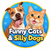 Paws & Giggles