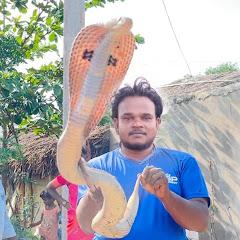 Akbar Aziz Snake Catcher avatar