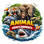 Animal Crazy Moments | 애니멀크레이지모먼츠