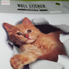 猫が飼えないから猫グッズ集めアイコン画像