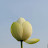 @서울하늘-e5n