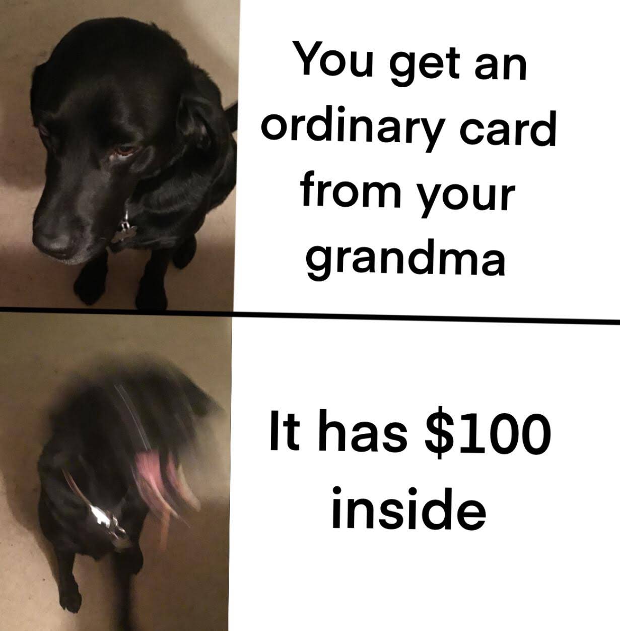 CP1QmaKQNk5VMuNX2f5_Sk48aX-6Si41wE7DGbHe-2jN14zS8Fx63eZU2nFGrCgTrise3SJY0vu_wg=s1252-nd-v1