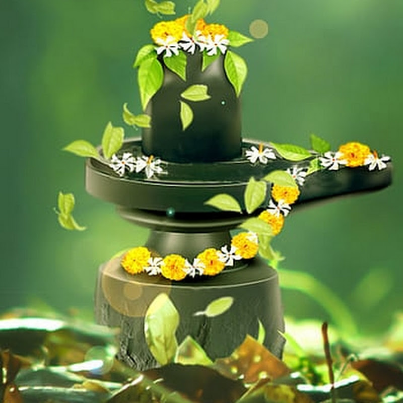 प्रदीप मिश्रा जी उपाय