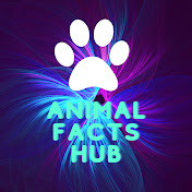 Animal Facts Hub
