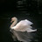 @فاطِم_2007