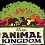 Animal Kingdom logo